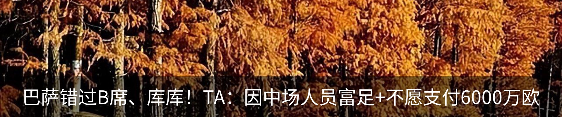 资讯动态